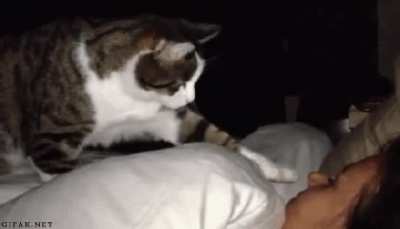 Mom, I missed the bus again