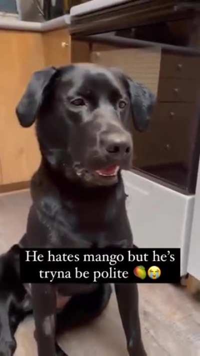 "I ate it, can you leave now please?"