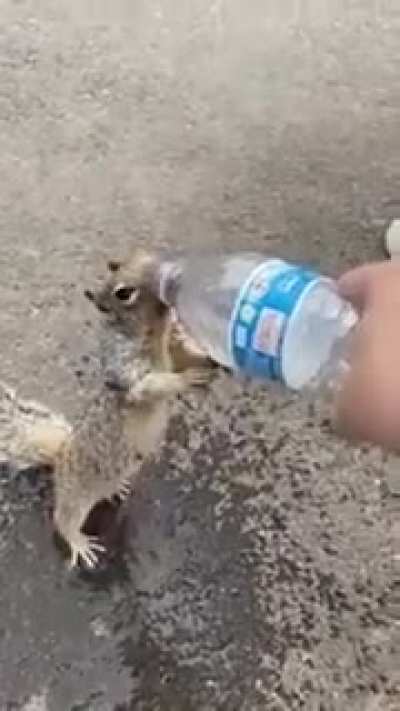 to ignore him