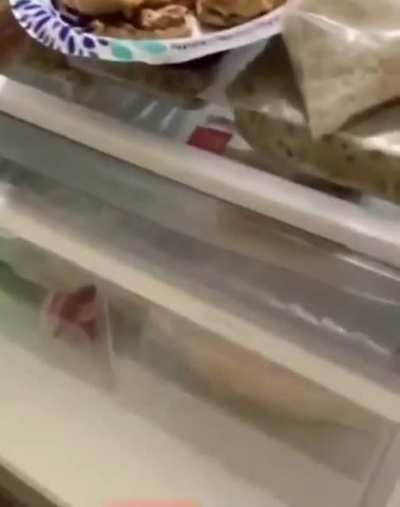 The fridge has been opened , ninja stealth mode engaged.