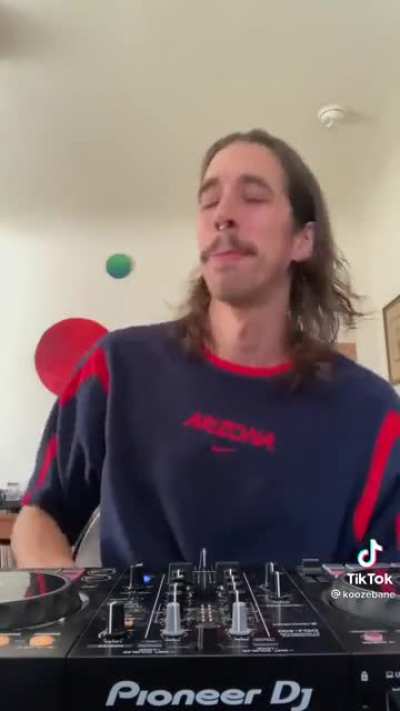 Doja cat x red hit chili peppers ??