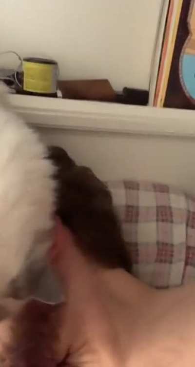 Every freaking day at 6 AM there’s no snooze on this alarm clock!