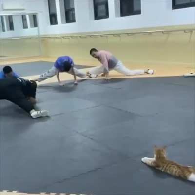 Yoga time