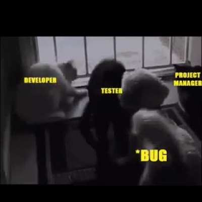 Programmer's Life