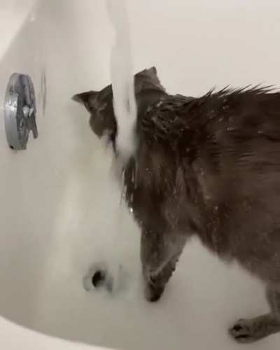 Winnie, lover of showers