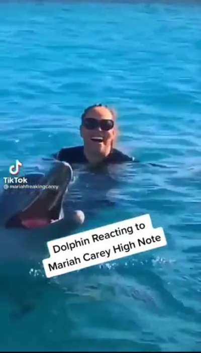 Dolphin reacts to Mariah Carey's whistle note