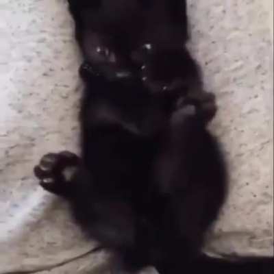 Kitty realising she has more than one paw.. ?
