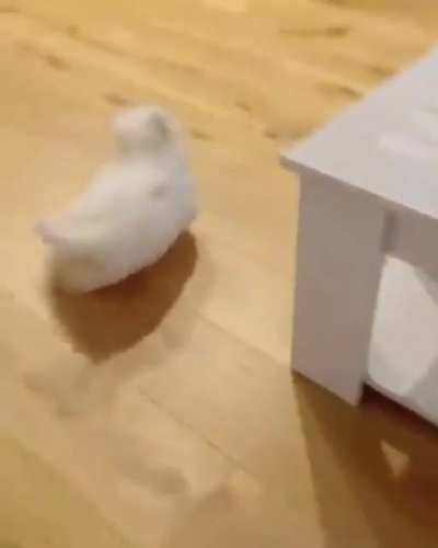 Maybe Maybe Maybe