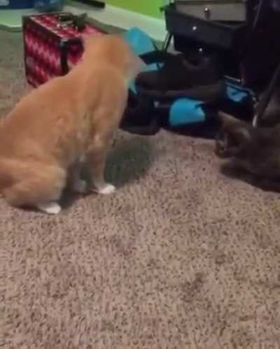 "What is happening to me?"