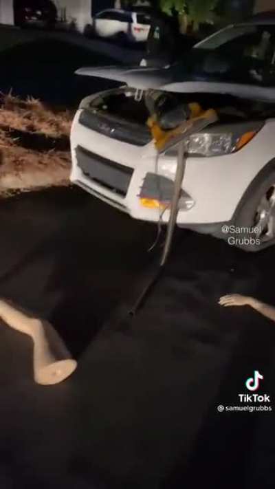 Just a little fender bender??