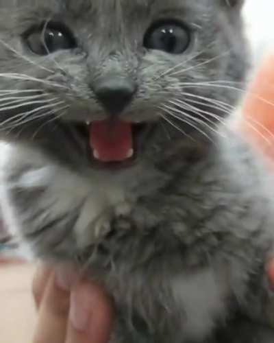 Heyyyyyyy