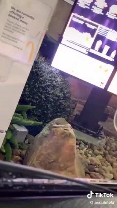 The McDonald’s workers do NOT get paid enough for this haha.