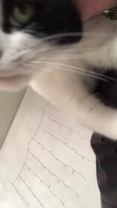 Lovable squeak from pepper. ?