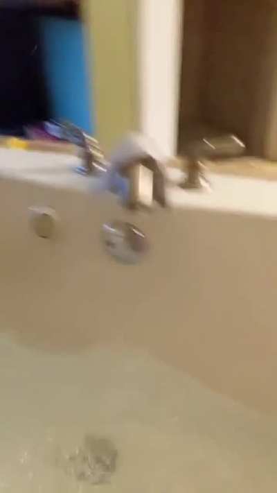 Chonker made a heckin big mistake