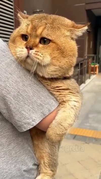 what a cutie