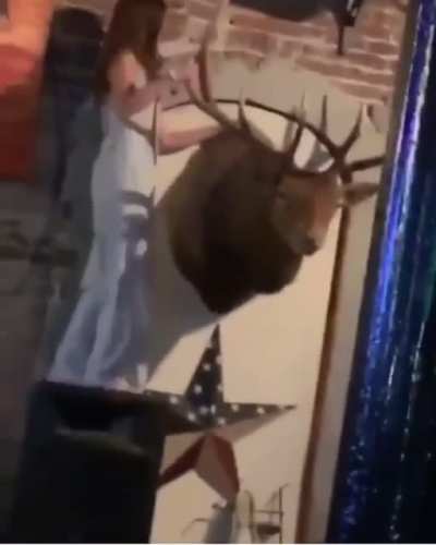 HMC, I'm going to ride that moose...