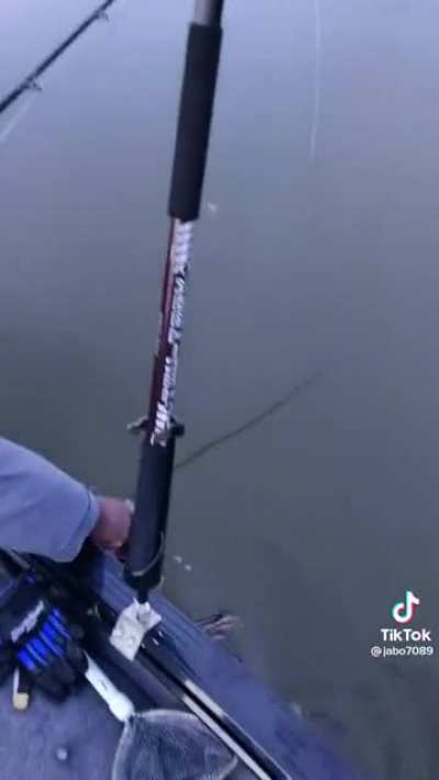 That’s not how catch and release works