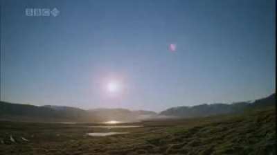 This is a timelapse of the sun in arctic summer. The sun doesn't set for six months straight, followed by a period of darkness for the next six months.