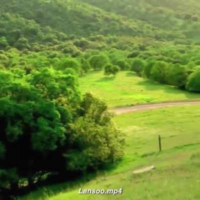 childhood trauma in one video