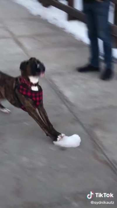 ? ⛸