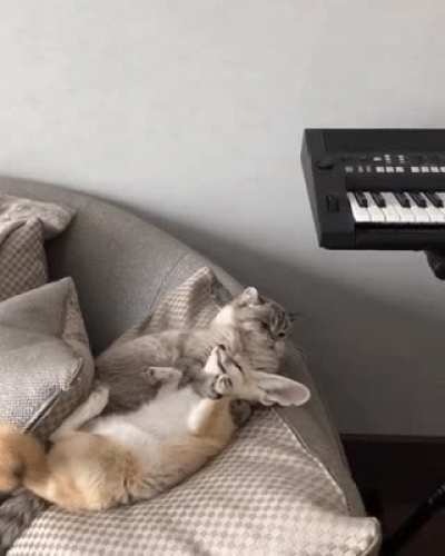 shh, it's still afternoon nap time