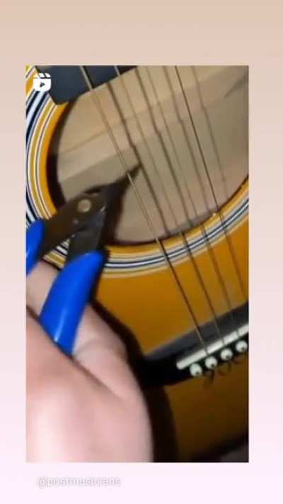 The most satisfying video ?