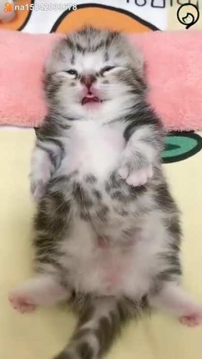 Kiss me mum❤?