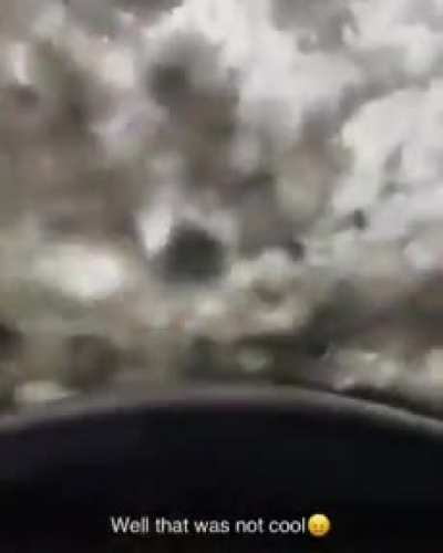 Imagine if this happened on a highway