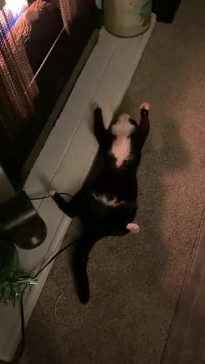 Someone likes the Fire .. I swear he’s alive ?