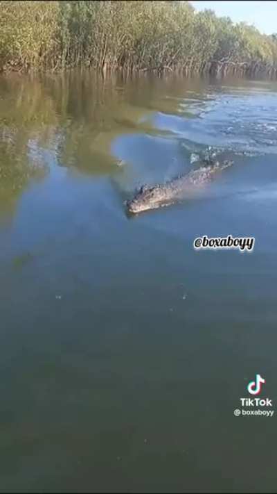 Just another day fishing and admiring the wildlife
