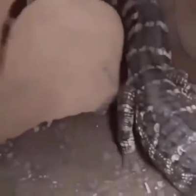 Happy Croc