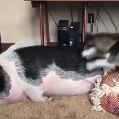 "wake up my friend"