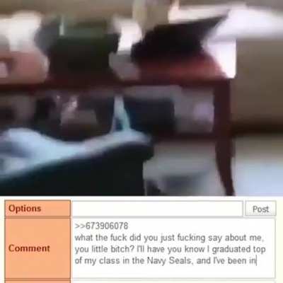 Cat on a mission