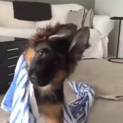Cuteness overload. ?