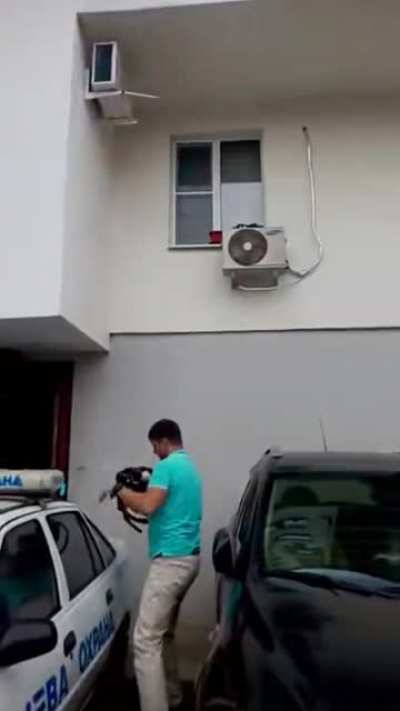 A cat hanging on for dear life.