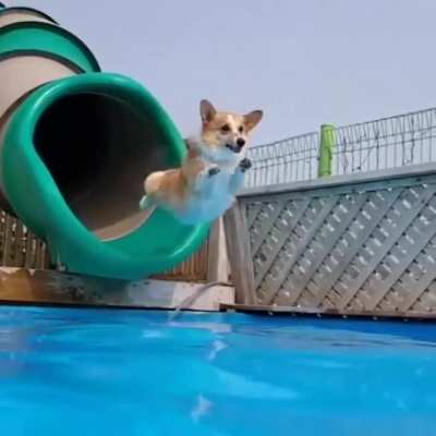 Cannonball!