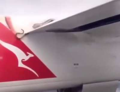 Snakes inside the Airplane Engine!