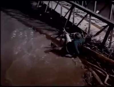 Trying to grab a beaver ?
