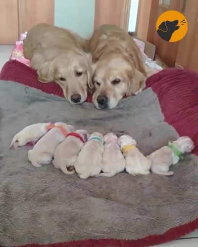 Love is watching your newborns with your loved one! ??
