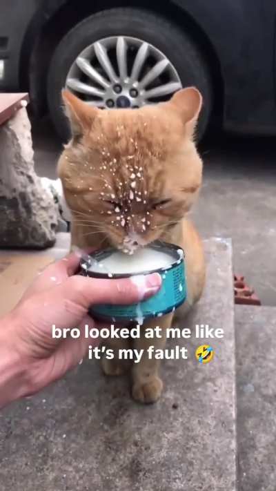 Bro looked at me like its my fault