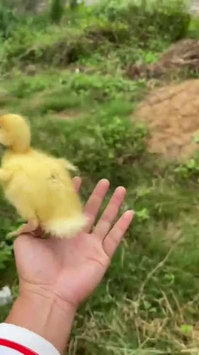 The poor child