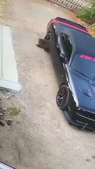 Maybe Maybe Maybe
