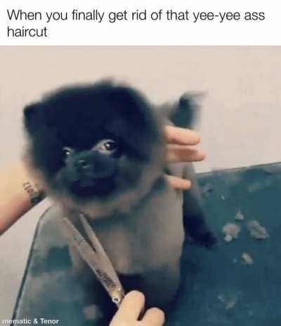 SwerveClips video aA7vbdgoGV