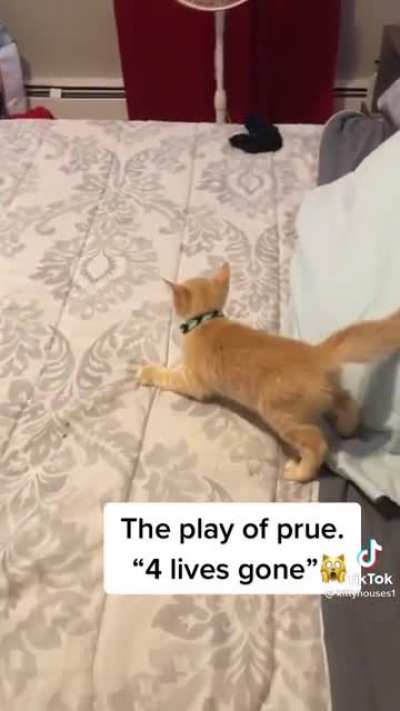 She took 4 of his nine lives