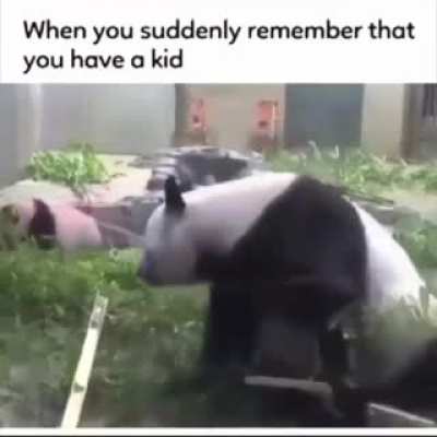 Panda Parenting