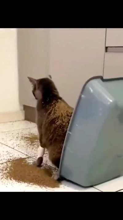 I can feel the regret ?