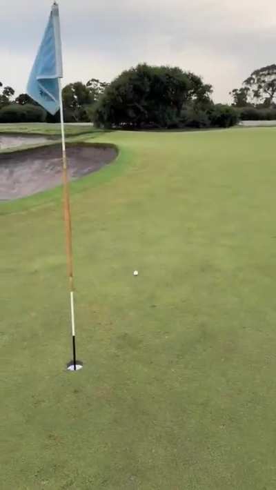 Once in a lifetime shot ?