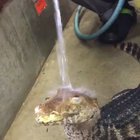 Look at the happy boy