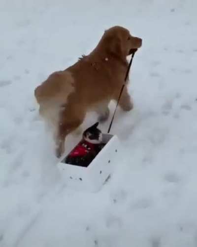 Let's go for a Ride