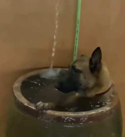 When water is life... ??